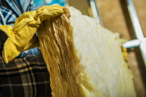 Best Local Insulation Services  in Abingdon, VA