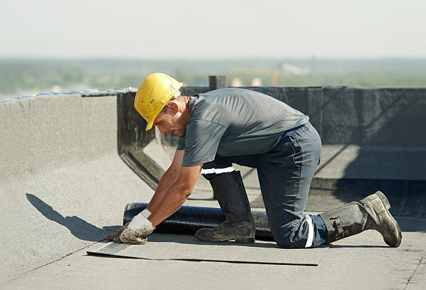 Best Insulation Contractors for Homes  in Abingdon, VA