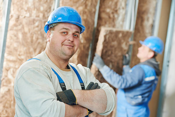 Best Insulation Repair Services  in Abingdon, VA